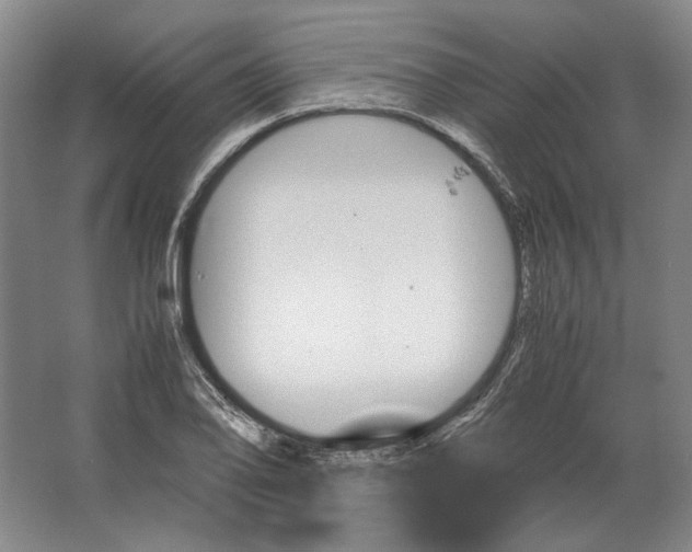 X0000062921078200601271759