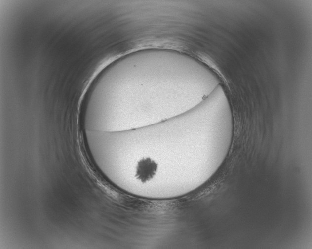 X0000062921079200601271759