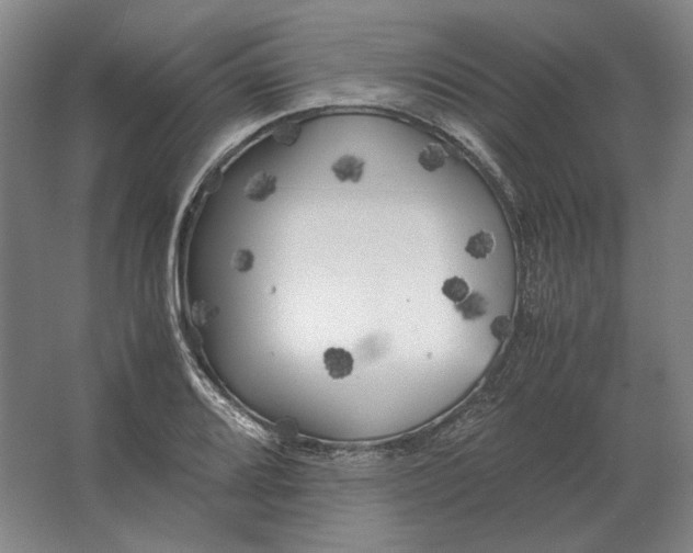 X0000062921080200601271759