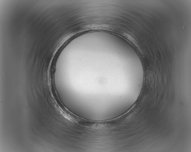 X0000062921082200601271759