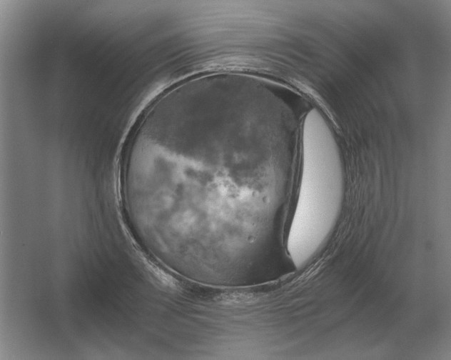 X0000062921083200601271759