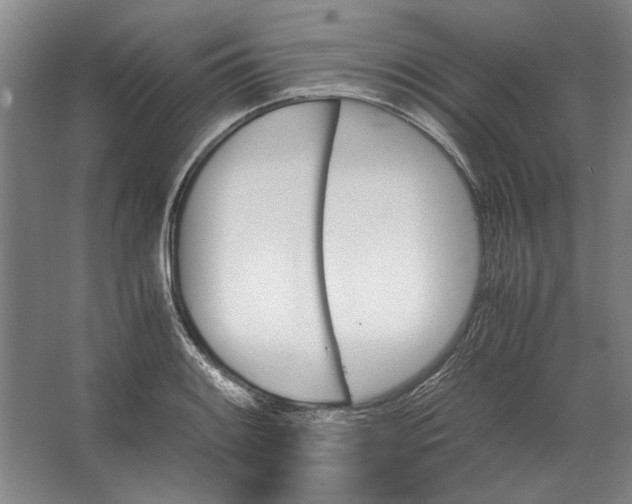 X0000062921084200601271759