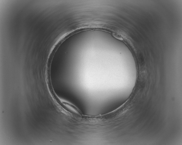 X0000062921085200601271759