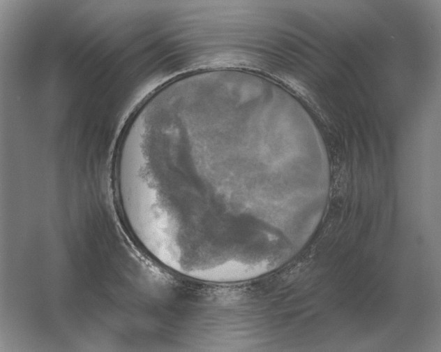 X0000062921086200601271759