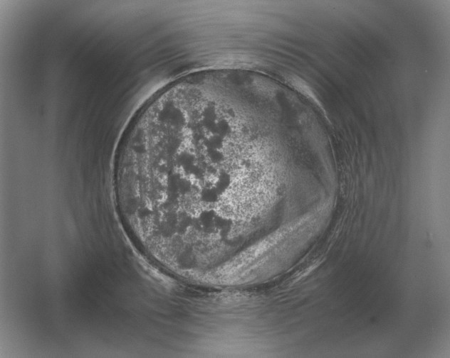 X0000062921087200601271759