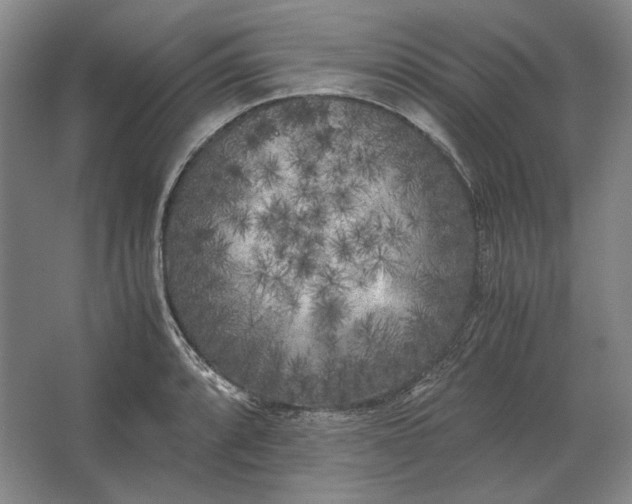 X0000062921088200601271759