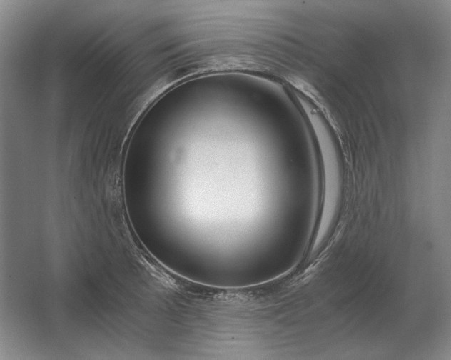 X0000062921089200601271759