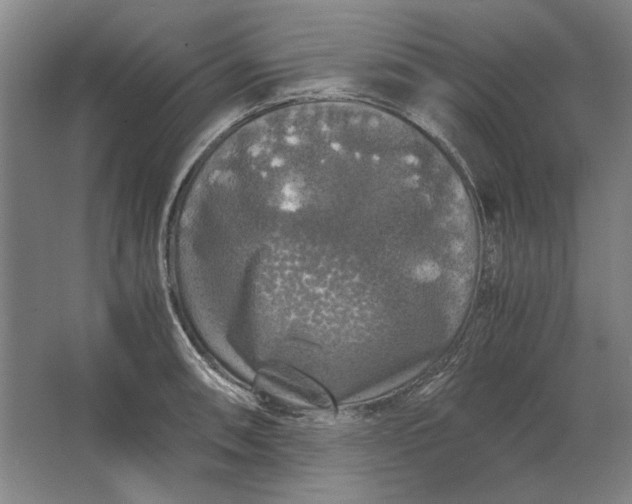 X0000062921090200601271759