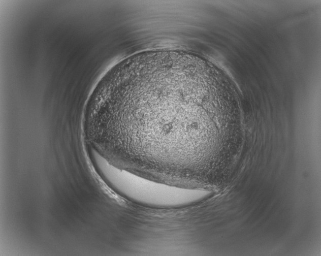 X0000062921091200601271759