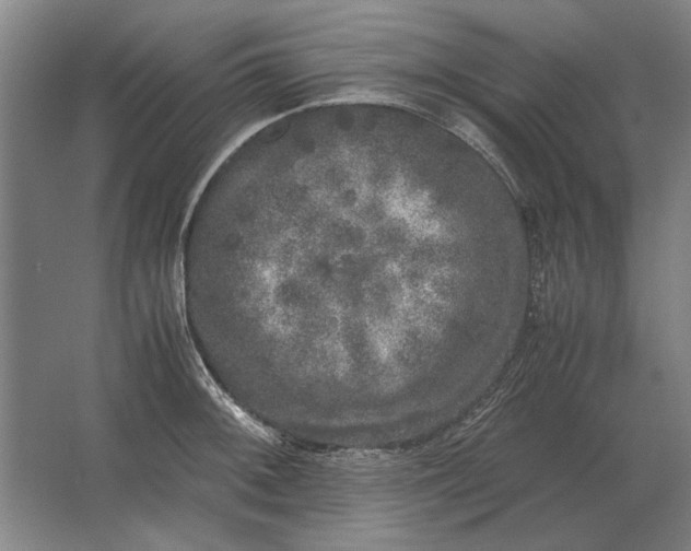 X0000062921092200601271759