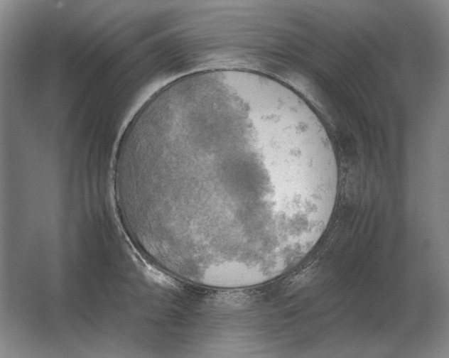 X0000062921094200601271759