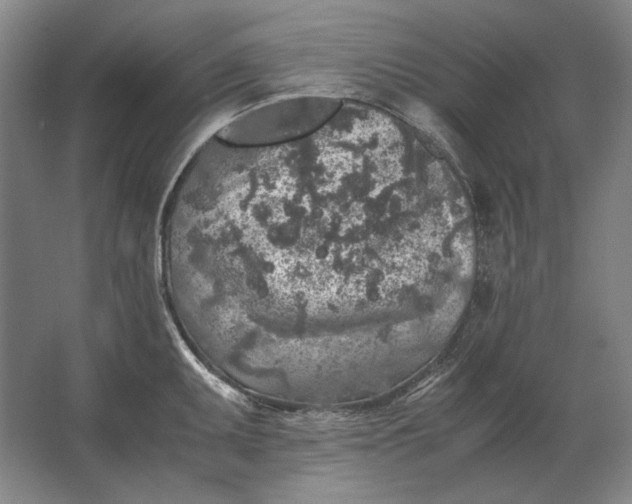 X0000062921095200601271759