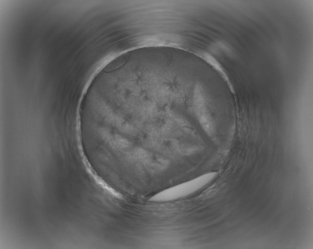 X0000062921096200601271759