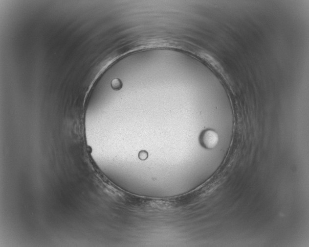 X0000062921097200601271759