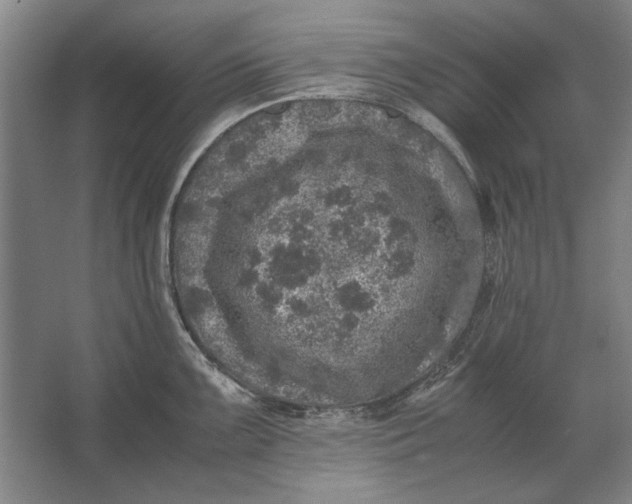 X0000062921099200601271759