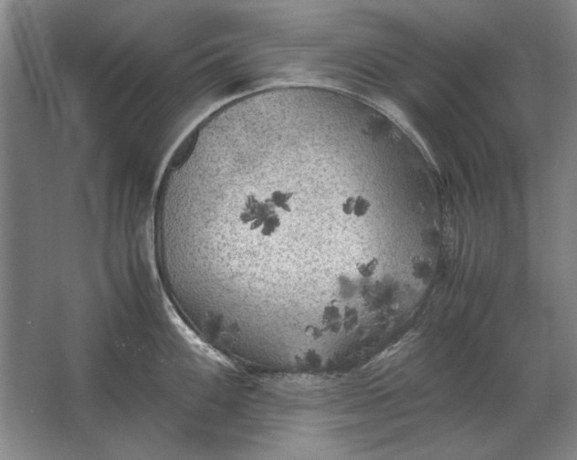 X0000062921100200601271759