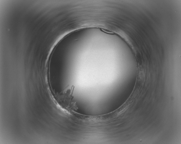 X0000062921102200601271759