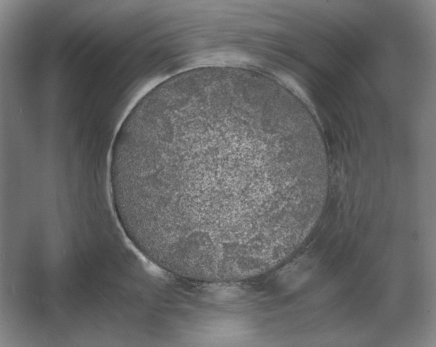 X0000062921103200601271759