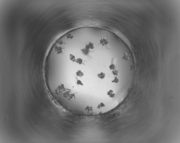 X0000062921104200601271759