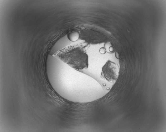 X0000062921105200601271758