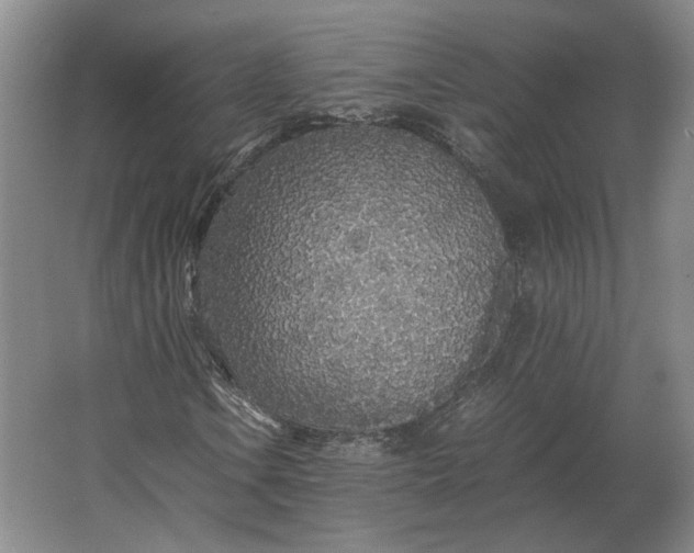 X0000062921106200601271758