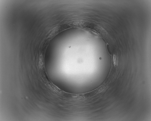 X0000062921107200601271758