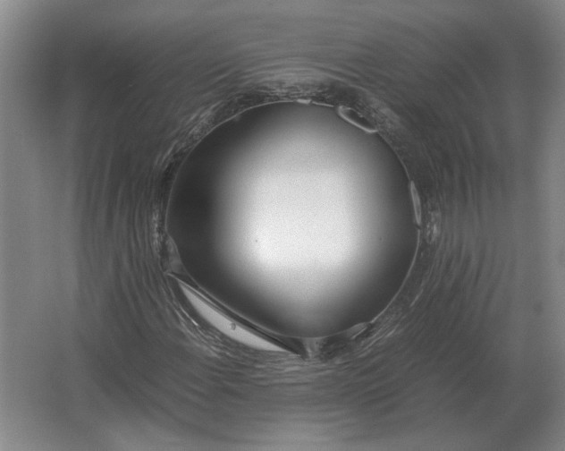 X0000062921108200601271758