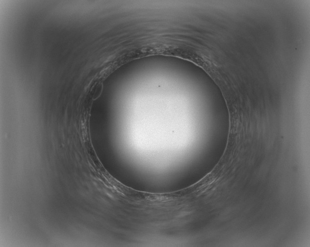 X0000062921109200601271758