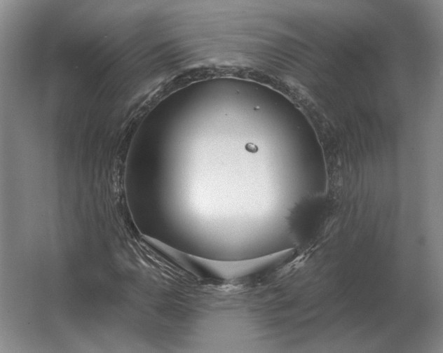 X0000062921110200601271758