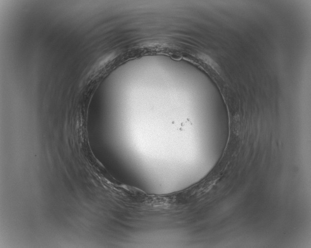 X0000062921111200601271758