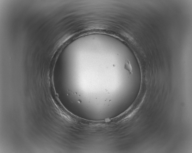 X0000062921113200601271758