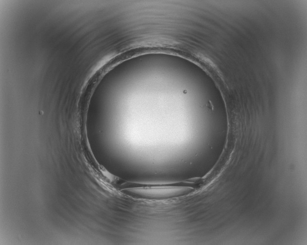 X0000062921114200601271758