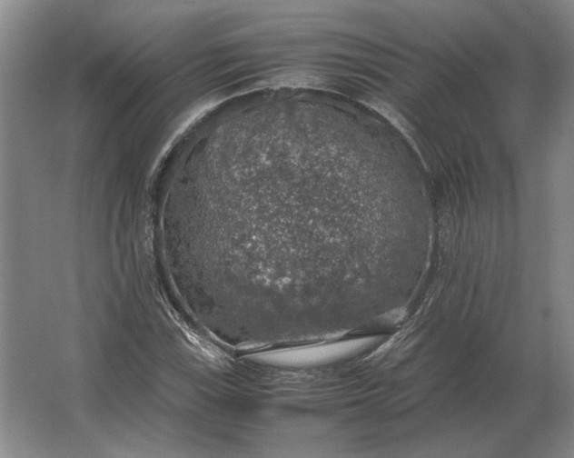 X0000062921115200601271758