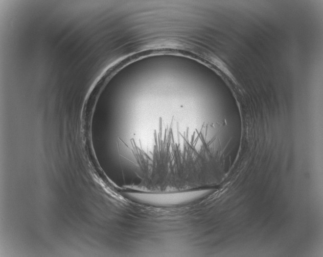 X0000062921116200601271758