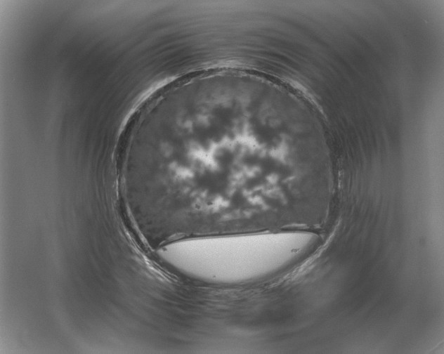 X0000062921117200601271758