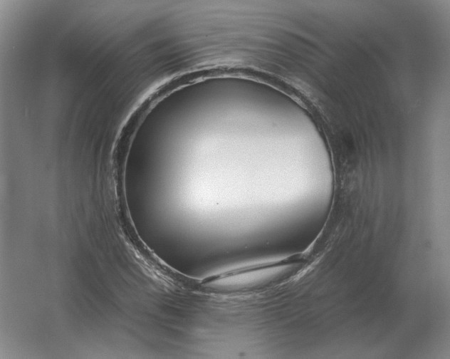 X0000062921118200601271758