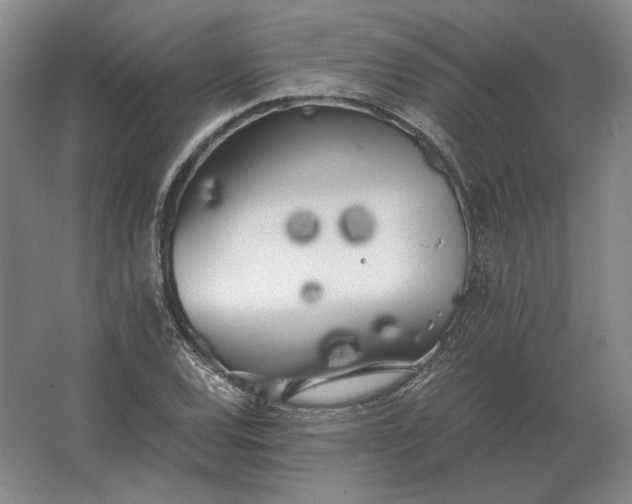 X0000062921120200601271758