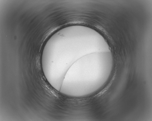 X0000062921121200601271758