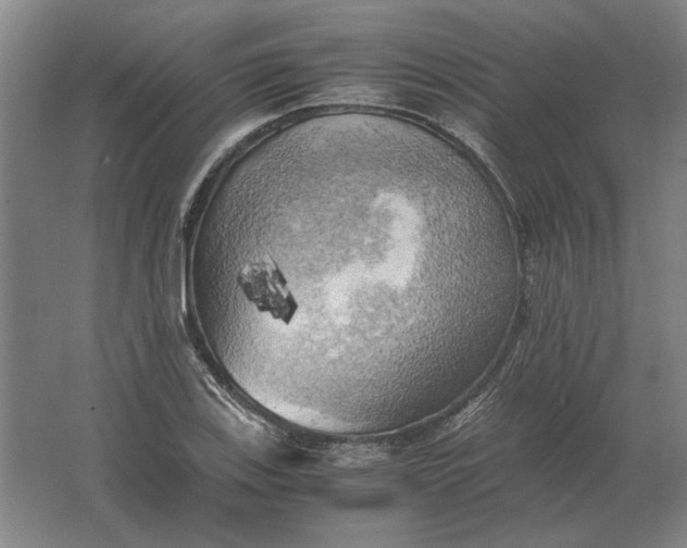 X0000062921123200601271758