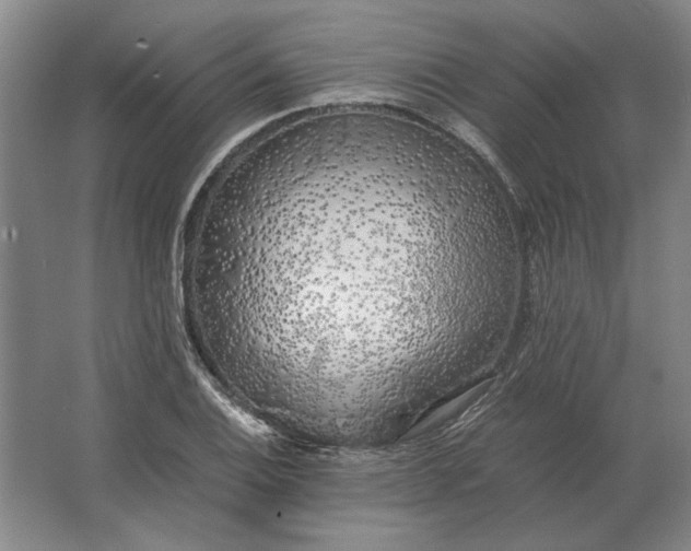 X0000062921124200601271758