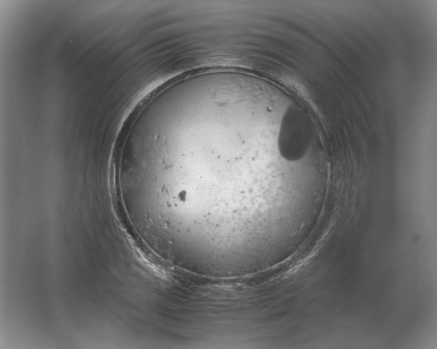 X0000062921125200601271758