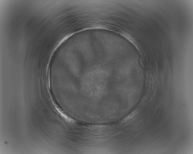 X0000062921127200601271758