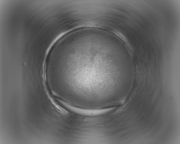 X0000062921128200601271758