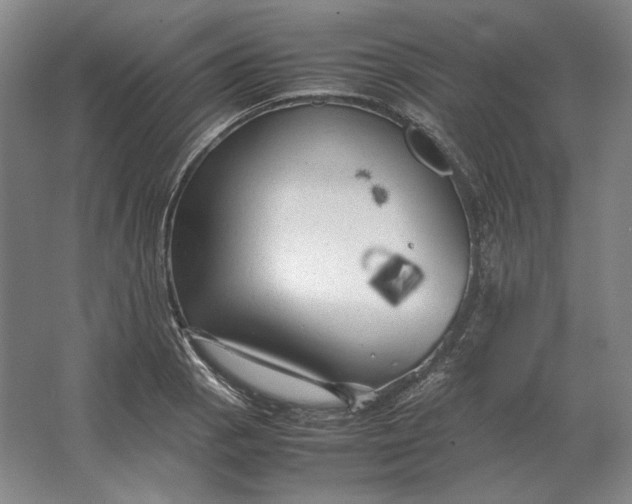 X0000062921129200601271758