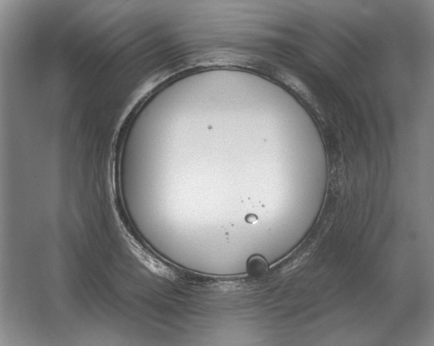 X0000062921130200601271758