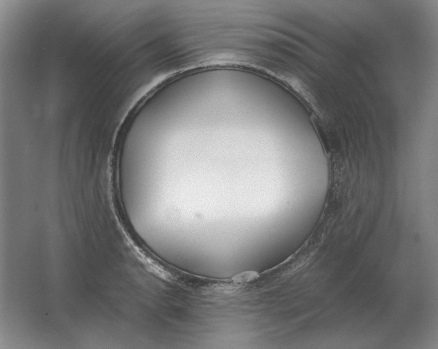 X0000062921134200601271758