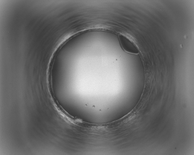 X0000062921135200601271758