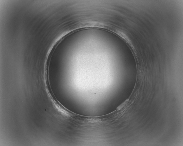 X0000062921136200601271758