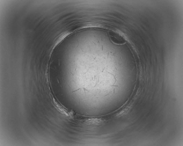 X0000062921137200601271758