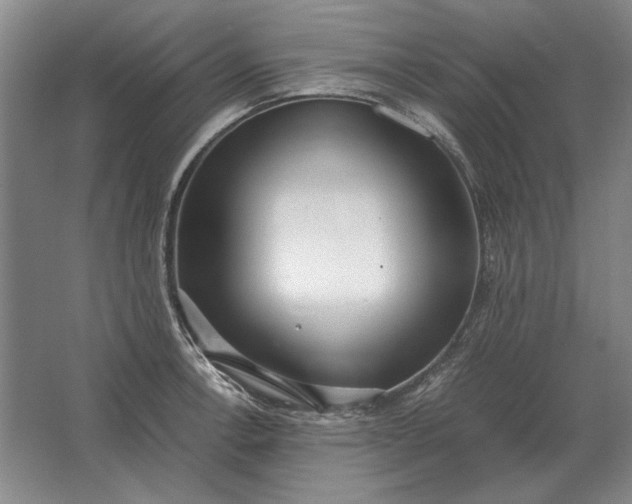 X0000062921138200601271758